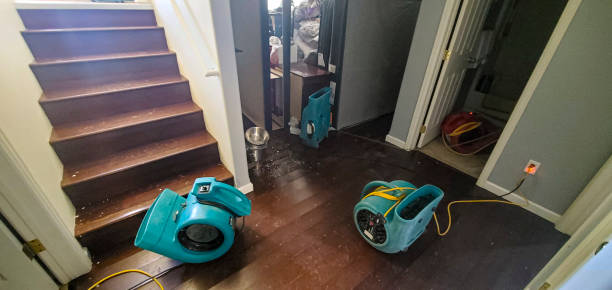 Port St Joe, FL Water damage restoration Company