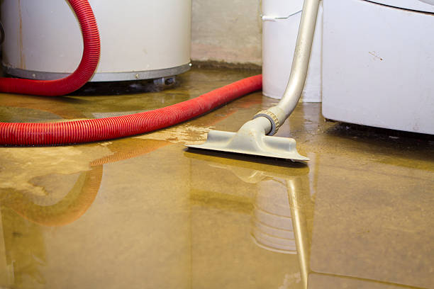 Best Flooded house restoration  in Port St Joe, FL